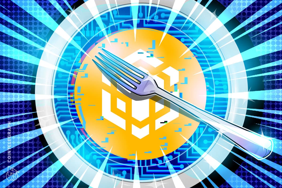 فعال‌سازی هردفورک ‎Pasteur‎ در ‎BNB‎ ‎Chain‎ برای تقویت امنیت پل‌ها